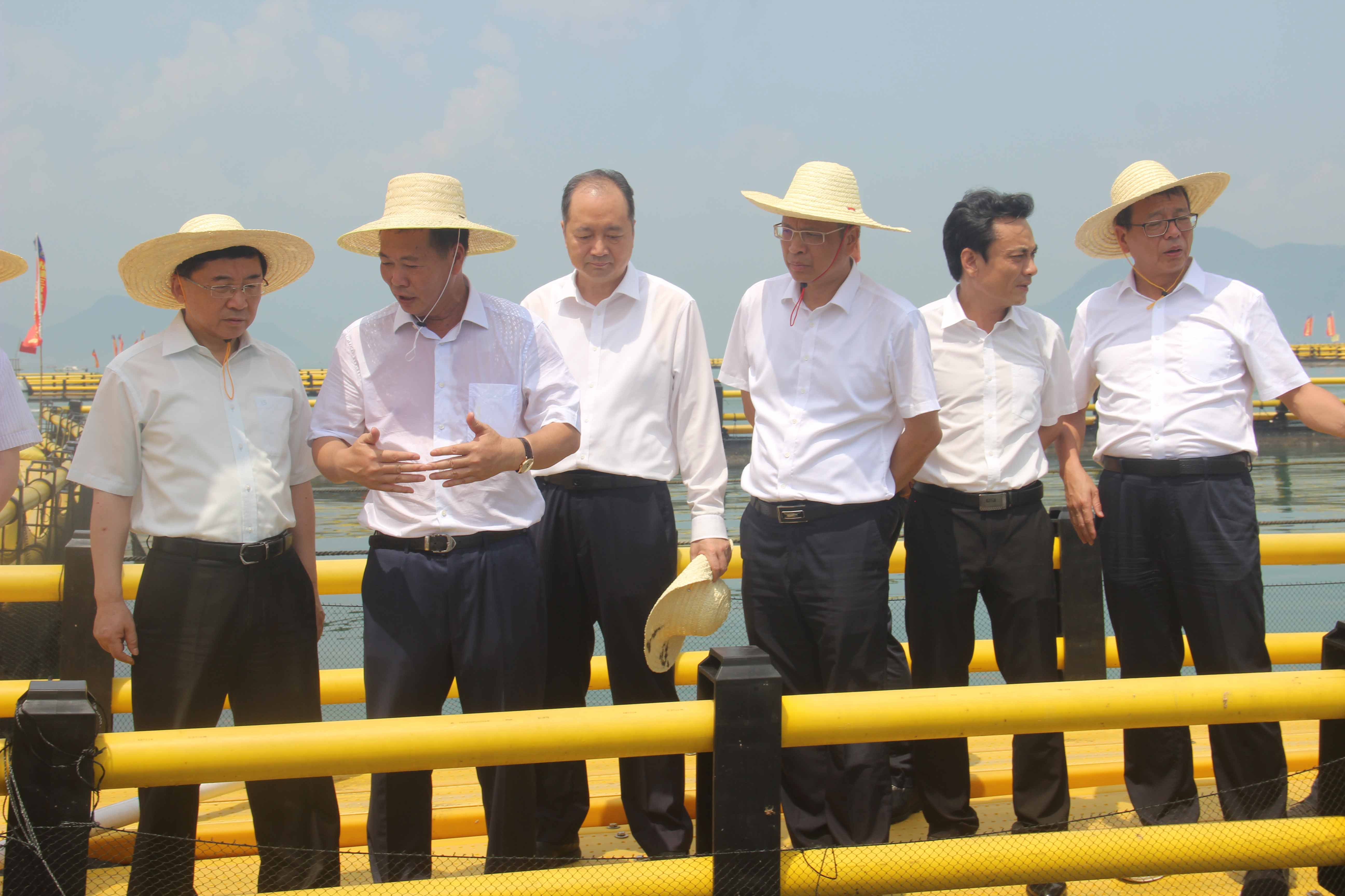 省委書記于偉國蒞臨我司“深水抗風浪塑膠環(huán)保網(wǎng)箱”養(yǎng)殖基地視察